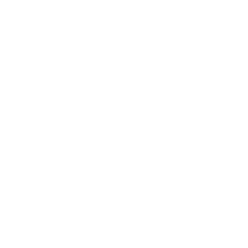Logo Native Spirit